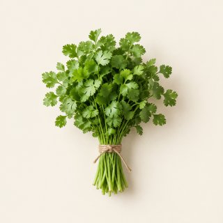 Cilantro